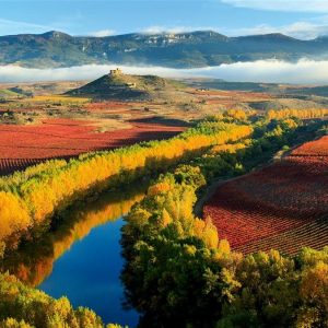 Qué hacer La Rioja paisaje ebro