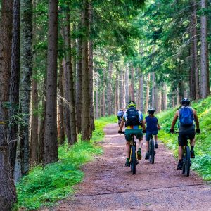 tres personas en bicicleta a través del bosque