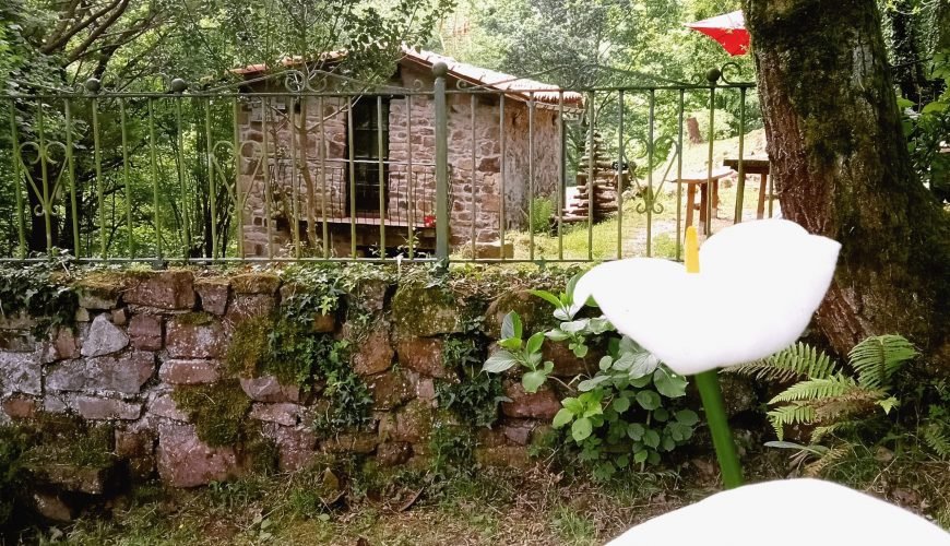 El portal de Turismo y Naturaleza