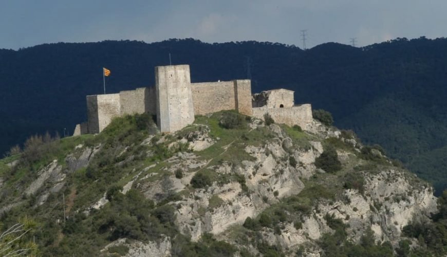 Anoia