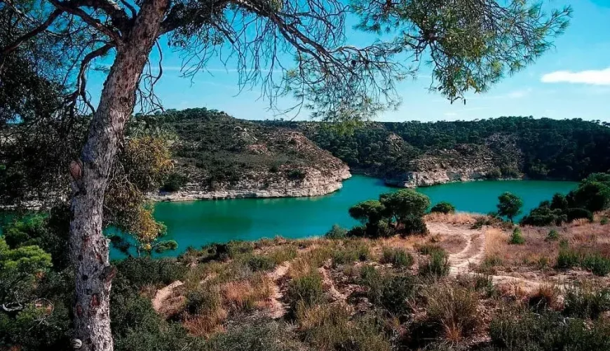 Bajo Aragón