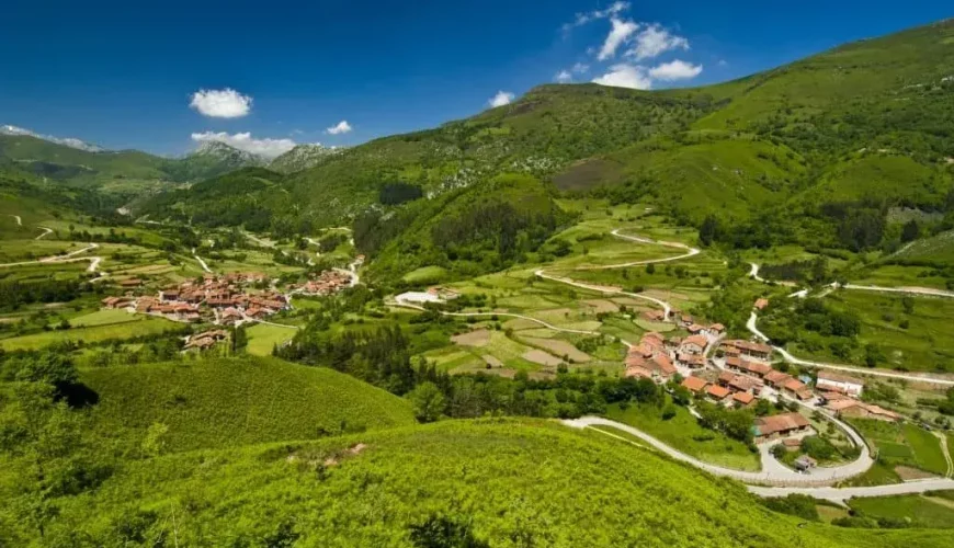 Besaya