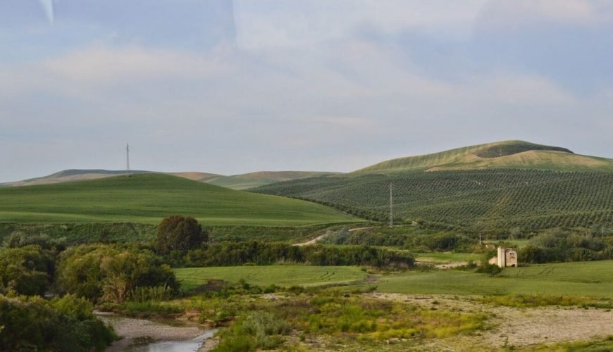 Campiña Este - Guadajoz
