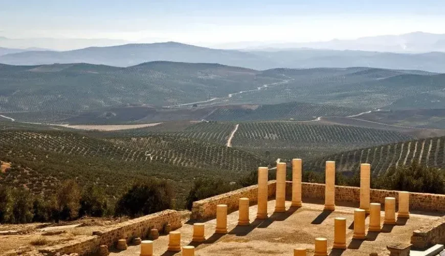 Campiña de Baena