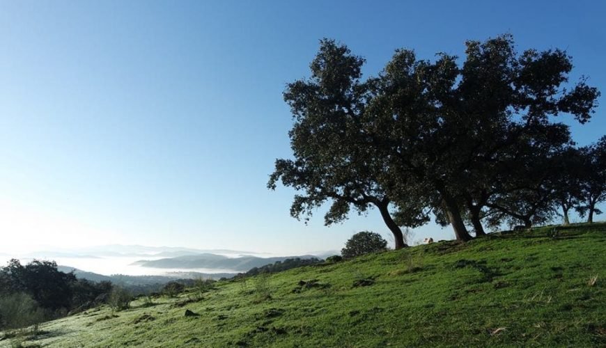 Campiña sur de Badajoz