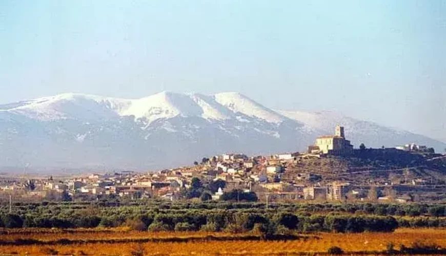 Campo de Borja