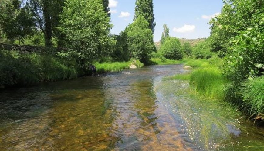 Comarca de Burgohondo – El Tiemblo – Cebreros ( Valle del Alberche y Tierra de Pinares )