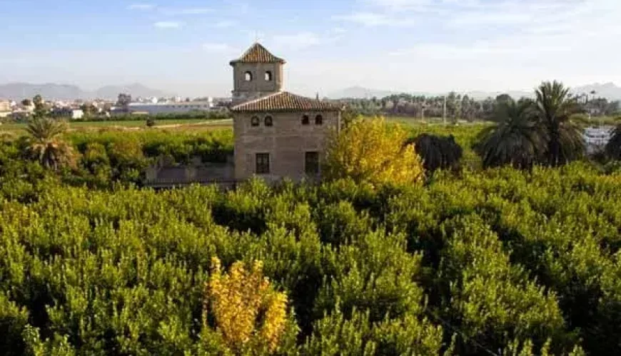 Huerta de Murcia