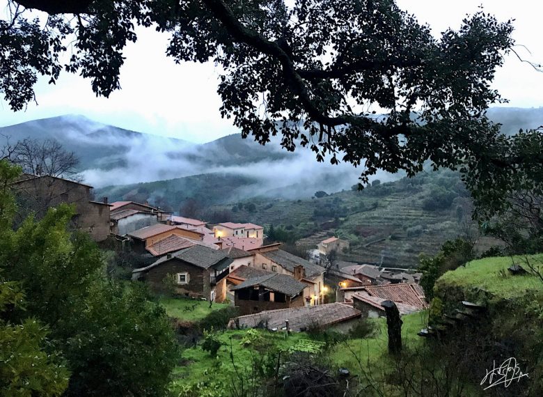 Experiencia de oleoturismo roblillejos por un dia
