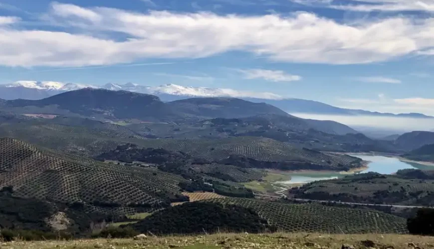 Los Montes orientales