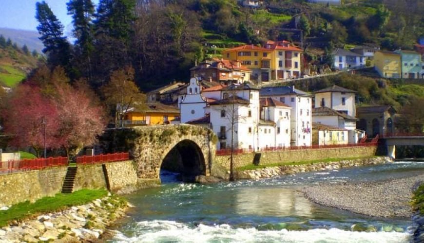 Narcea