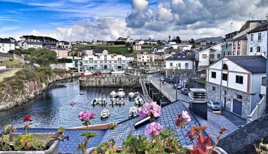 Navia