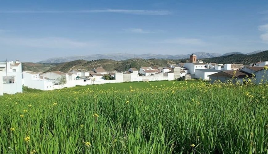 Nororma - Nororiental de Málaga
