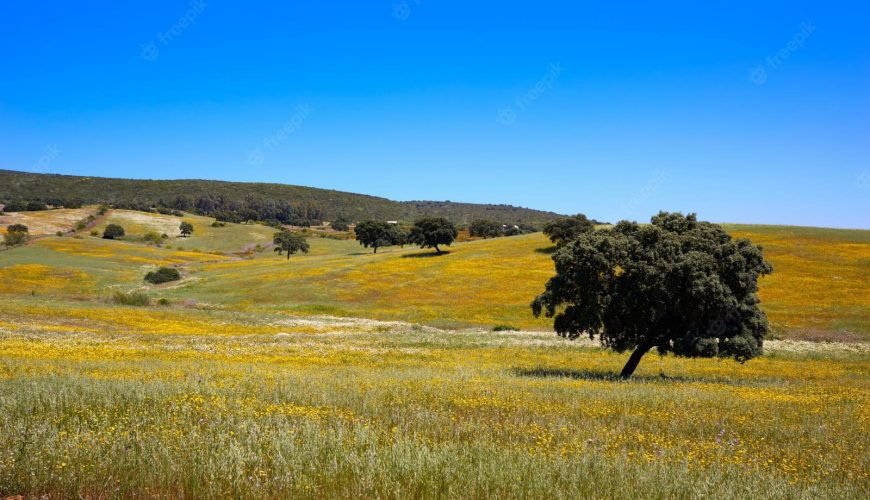 Sierra suroeste de Badajoz