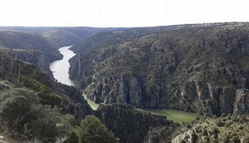 Tábara
