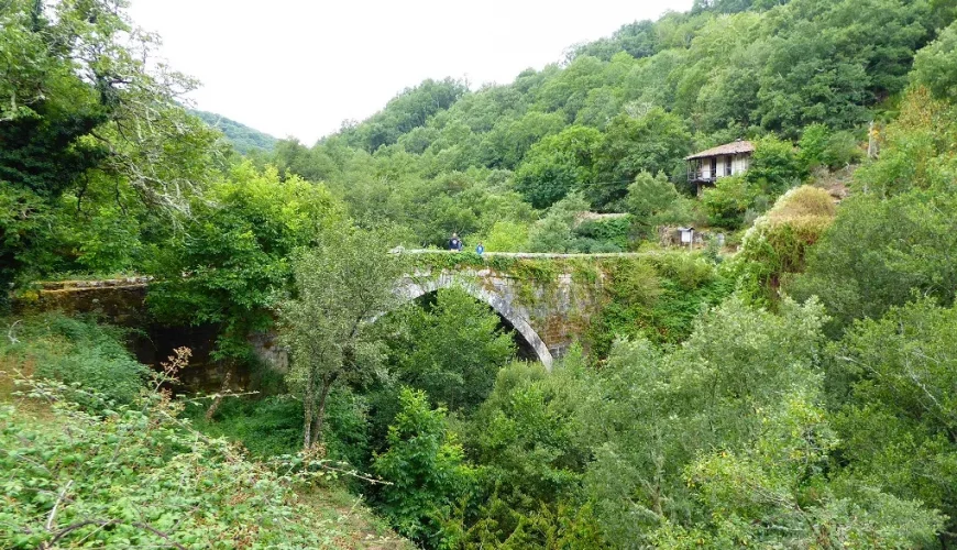 Terra de Trives