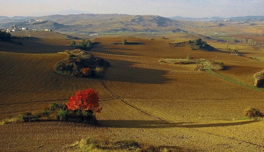Tierra Estrella