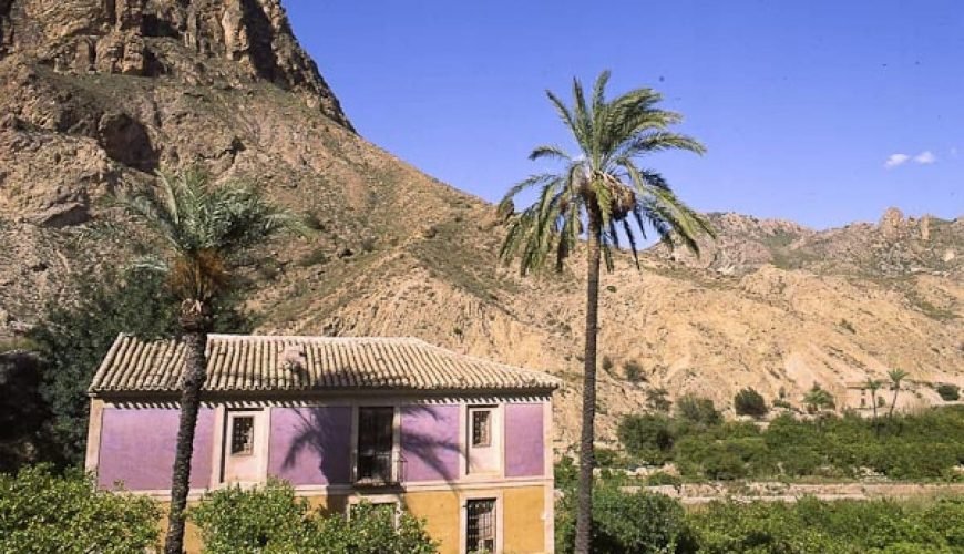 Vega Media del Segura