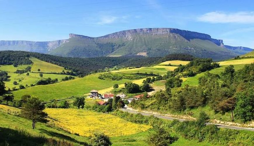 ayala