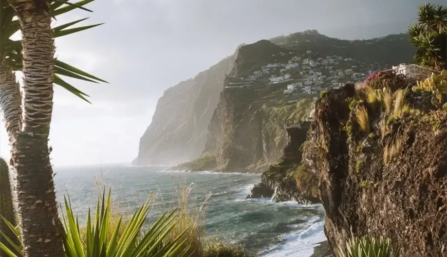 La Palma