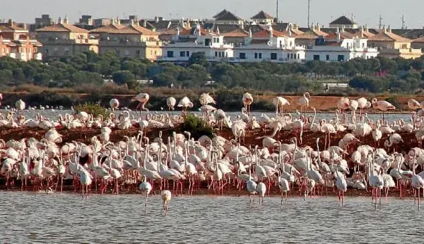 Las Marismas