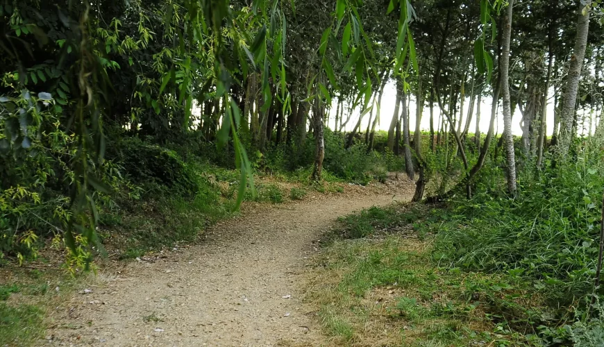 Las Villas
