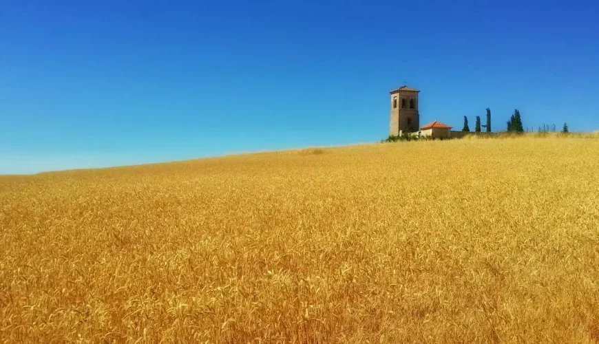 Tierra de Campos