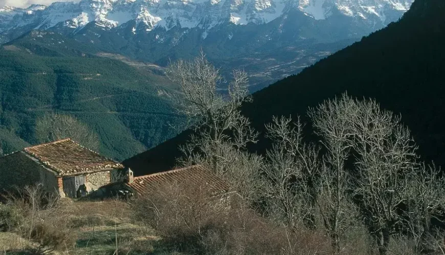Urgell