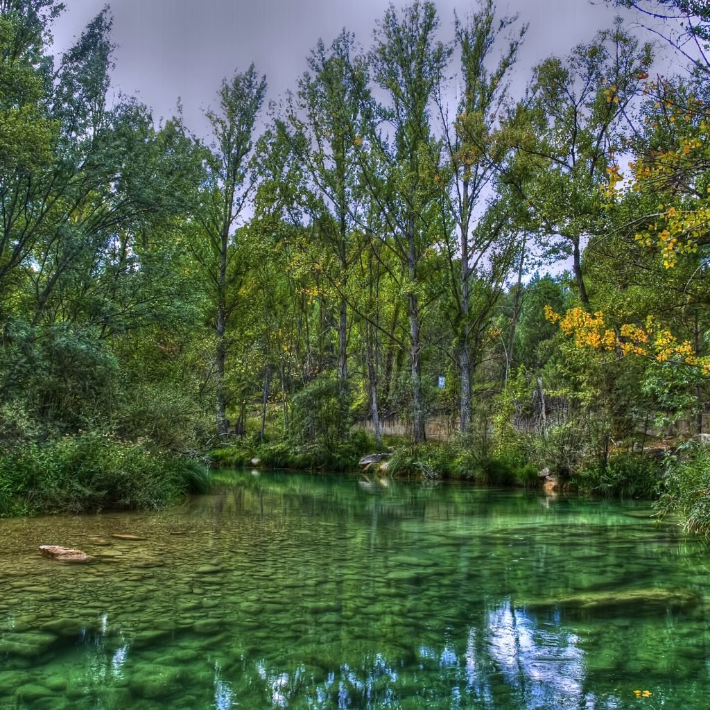 Ribera arbolada y aguas del Alto Tajo.
