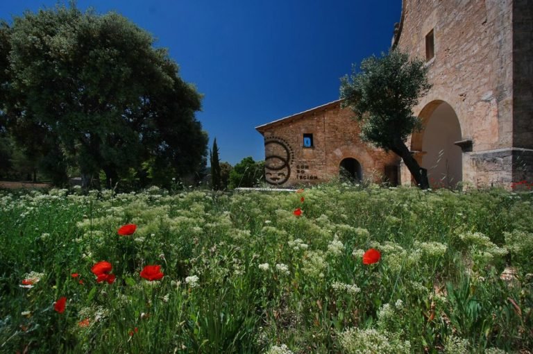 Hotel Consolación, Monroyo